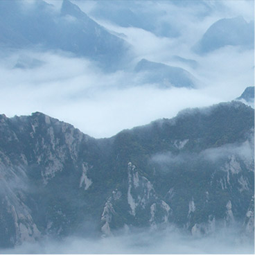 手机短信轰在线轰炸免费